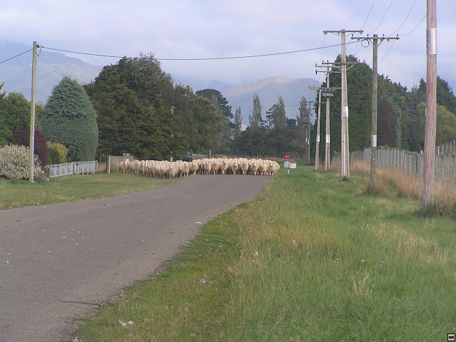 NZ leden-unor 2006 120.jpg